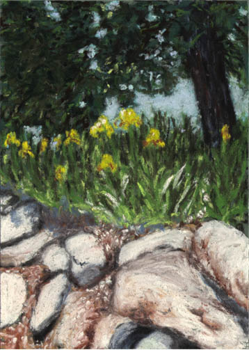 Rock Wall with Yellow Iris
