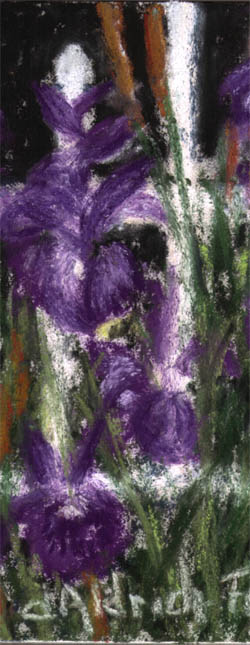 Purple with Envy (Purple Iris) - Print detail