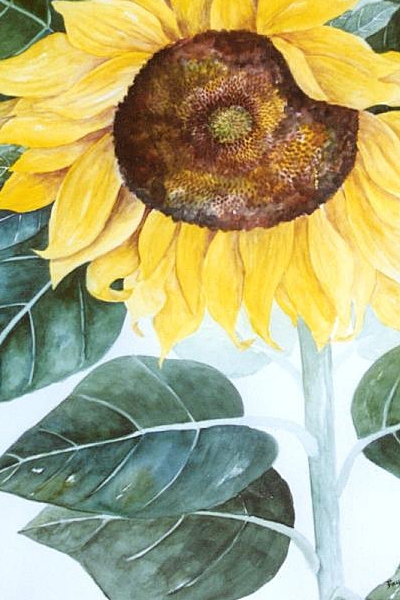 Sunflower original watercolor painting by artist Fay Lee - detail