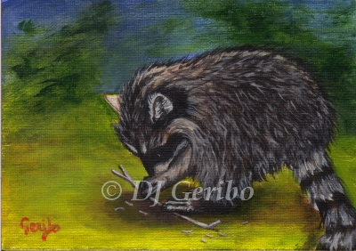 Daily Paintings Animals by artist DJ Geribo - Raccoon Grasping
