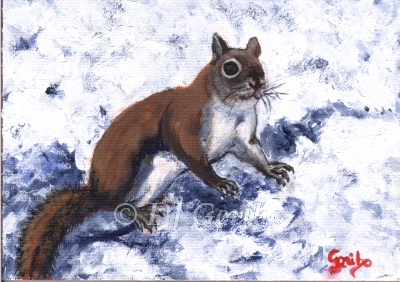 Daily Paintings Animals by artist DJ Geribo - Snow Squirrel