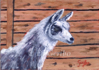 Daily Paintings Animals by artist DJ Geribo - Alpaca