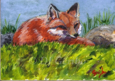Fox Nap - Daily Paintings Animals by artist DJ Geribo