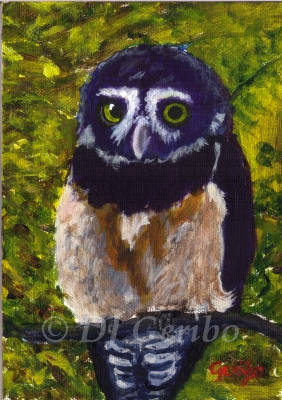 Spectacled Owl - Daily Paintings Animals by artist DJ Geribo