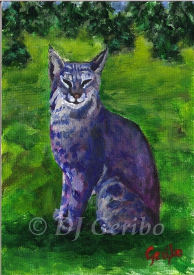 Bobcat Blues - Daily Paintings Animals by artist DJ Geribo