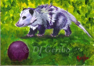 Playing Possum - Daily Paintings Animals by artist DJ Geribo