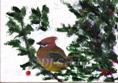 Cedar Waxwing with Holly Berry - Daily Painting Animals by artist DJ Geribo