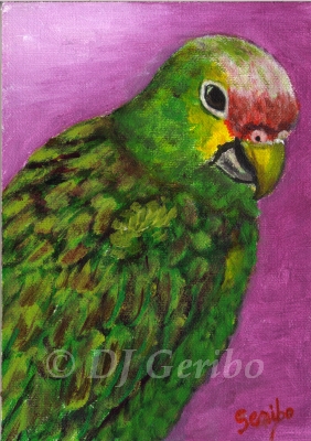 Pretty Parrot - Daily Paintings Animals by artist DJ Geribo