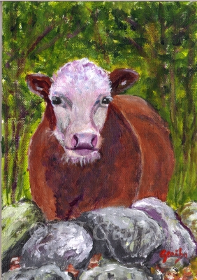 White-faced Cow - Daily Paintings Animals by artist DJ Geribo