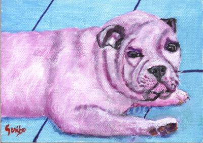 Bulldog Bruiser - Daily Paintings Animals by artist DJ Geribo