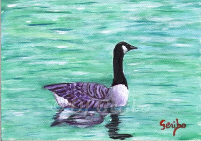 Canadian Goose Gliding - Daily Paintings Animals by artist DJ Geribo