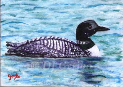 Loon on the Lake - Daily Paintings Animals by artist DJ Geribo