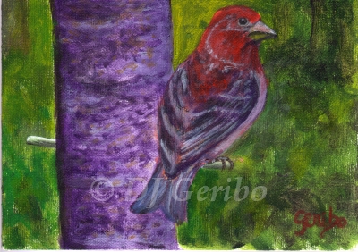 Purple Finch Feeder - Daily Paintings Animals by artist DJ Geribo