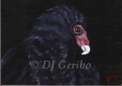Regal Turkey Vulture - Daily Paintings Animals by artist DJ Geribo