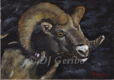 Ram in Shadow - Daily Paintings Animals by artist DJ Geribo