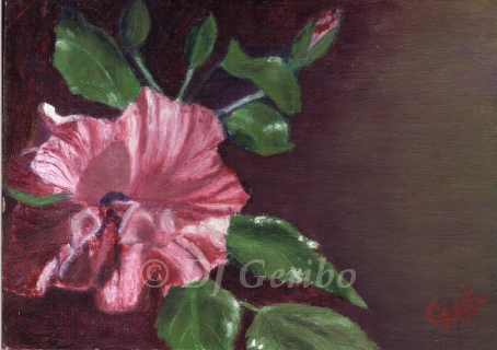 Hibiscus Bloom Original Miniature Oil Painting by artist DJ Geribo
