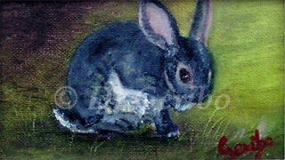 Clean Bunny Original Miniature Oil Painting by artist DJ Geribo detail
