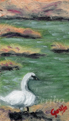 Gazing Swan Original Miniature Oil Painting by artist DJ Geribo