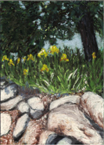 Rock Wall with Yellow Iris - Print