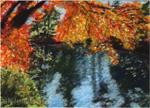 New England Fall Reflection - Print