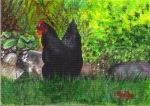 Astralorp Hen Posed